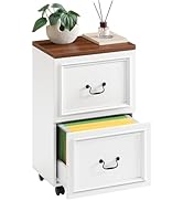 MAHANCRIS 2 Drawer File Cabinet, Rolling File Cabinet for Home Office, Wooden Under Desk Storage,...