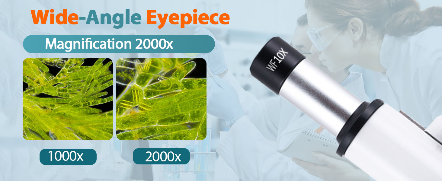 Microscope
