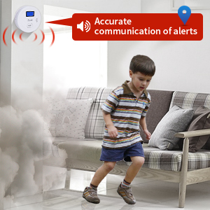 smoke and carbon monoxide detector