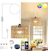 ZSLAIFU Hanging Lamp Plug in, Rattan Hanging Lights, Bulb Included, Woven Pendant Light with Plug...