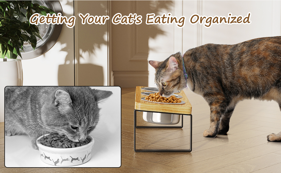 Elevated Cat Bowls