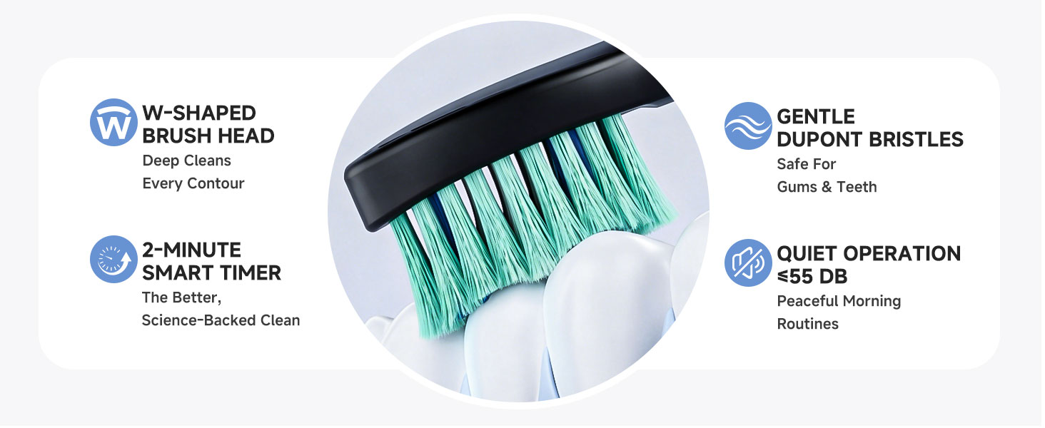 Electric Toothbrush for Adults