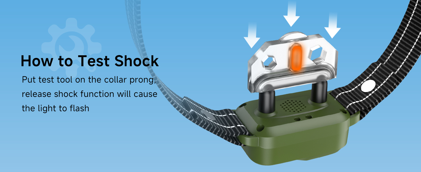 shock collar