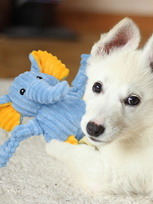 dog toys for large dogs