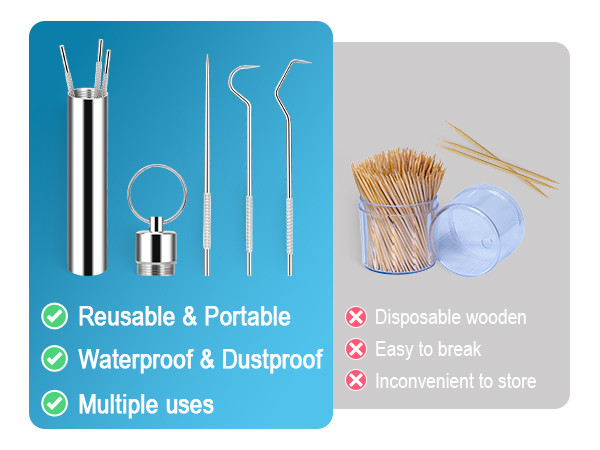 Metal Toothpicks Kit