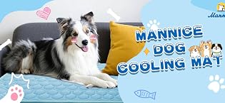 https://m.media-amazon.com/images/S/aplus-media-library-service-media/4ba689b2-7d7a-4c7b-8838-5cfea0193b1e.__CR57,0,1086,500_PT0_SX315_V1___.jpg