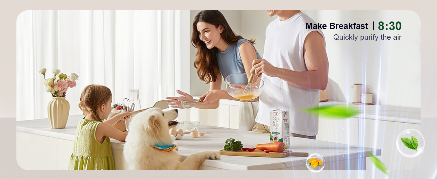 air purifiers for home