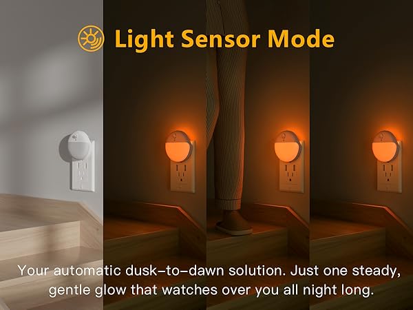 dusk to dawn sensor night light