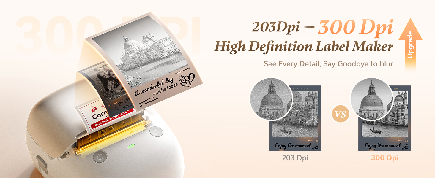 NIIMBOT B2 Pro 300dpi Label Maker