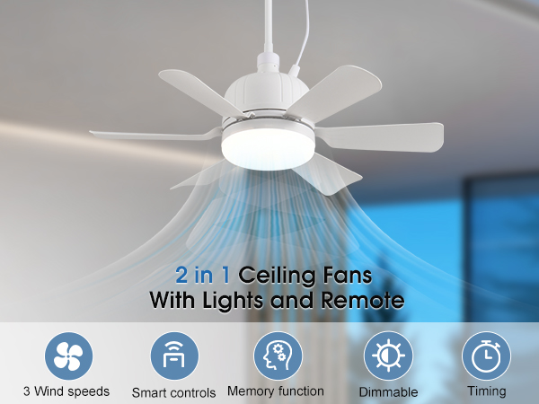 Ceiling Fan