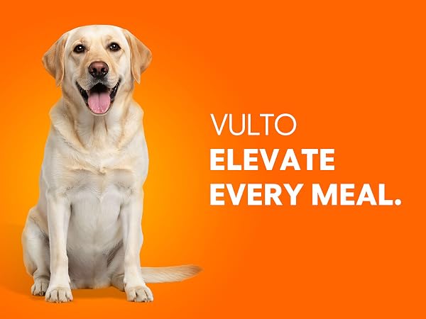 Premium dog slow feeder bowl large breed interactive eating dish