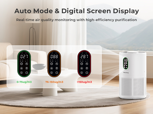 Auto Mode Digital Screen Display