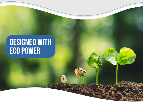 Photo of the stages of growth of the coffee plant from a bean