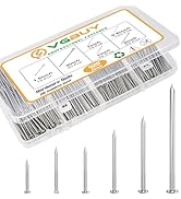 VGBUY 420PCS Stainless Steel Hardware Nails Assortment Kit, Up to 3 Inch Long Nails for Hangig Pi...