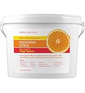 SMELLS BEGONE 1-Gallon Gel Odor Eliminator – High-Capacity, Long-Lasting Absorber for Large Basem...