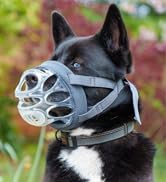 Baskerville INVISA Basket Dog Muzzle - Patented Humane Design with Facial Visibility, Padded Nose...