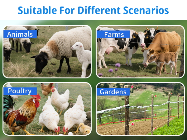 Suitable For Different Scenarios