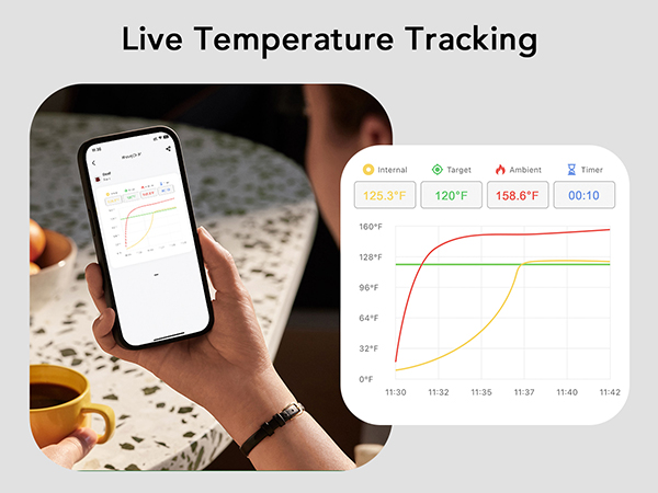 wireless thermometer for grilling