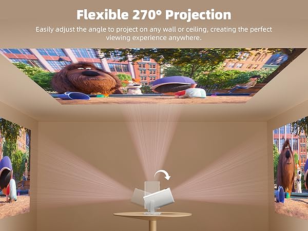 projector