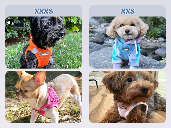 step in dog harness for small dogs XXXS XXS
