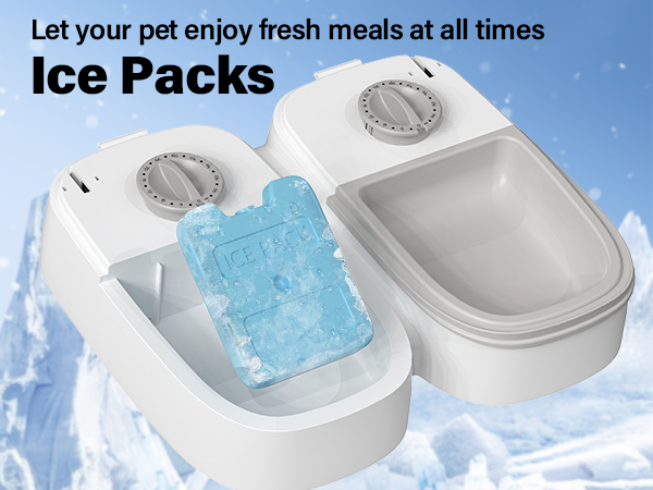 automatic cat feeder