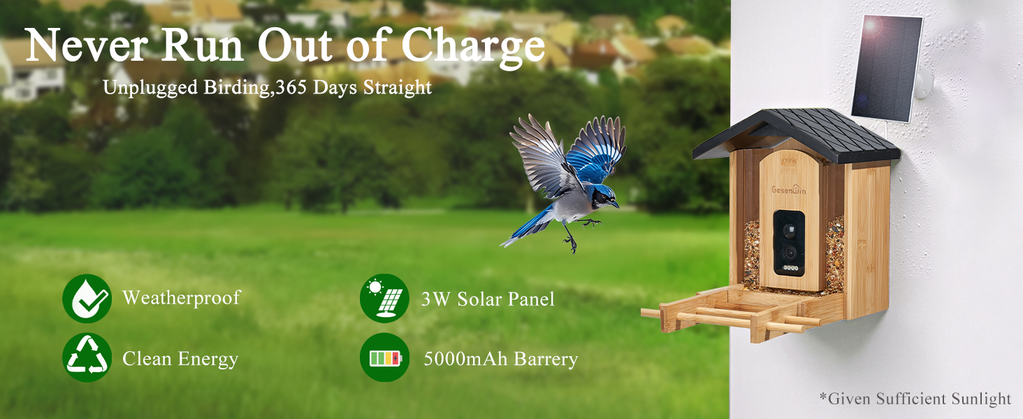 solar smart bird feeder with camera