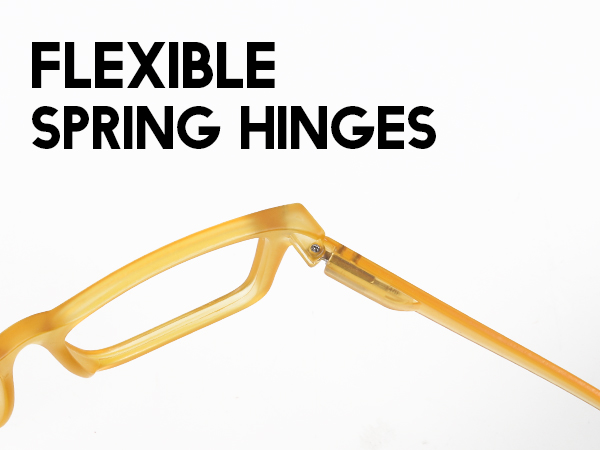 flexible spring hinges