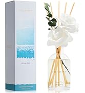 COCORRÍNA Reed Diffuser - Ocean Mist Scent, 6.76 fl oz Essential Oil with 8 Reed Sticks - Home Fr...
