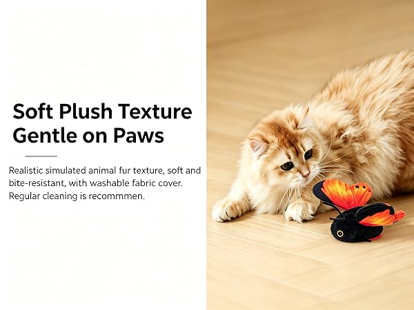 cat toys