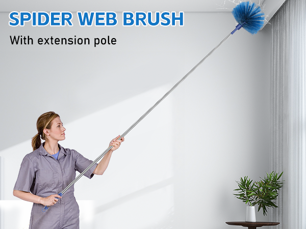 Cobweb Duster