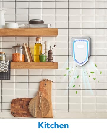 for Kitchen