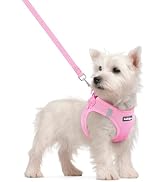 rabbitgoo Dog Harness Small Sized and Leash Set, Step in Soft Light Puppy Vest, Breathable Mesh P...