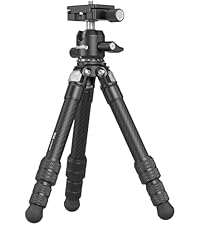 https://m.media-amazon.com/images/I/31dvNOz0Q0L.__AC_SR200,225___.jpg