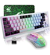 60% Wireless Gaming Keyboard and Mouse Combo 64 Keys RGB Chorma Backlight Rechargeable 4000mAh Ba...