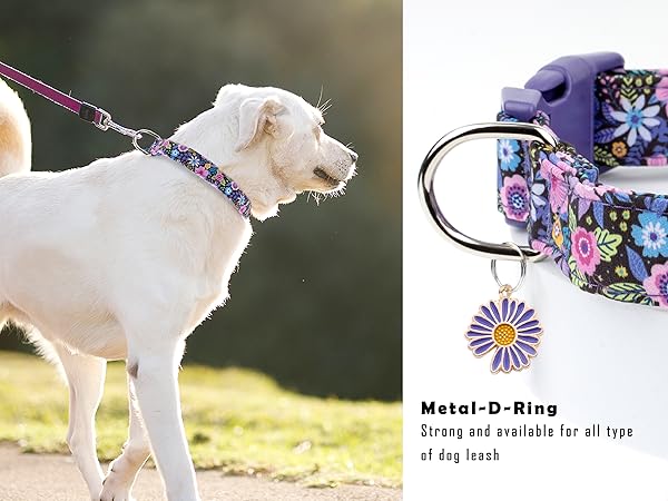 girl dog collar female dog collar for small dog collar purple dog collar for large dogs