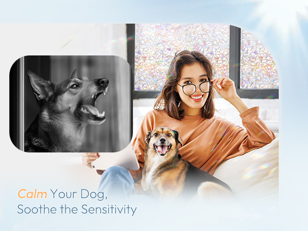 dog no barking window film