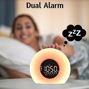 dual alarm