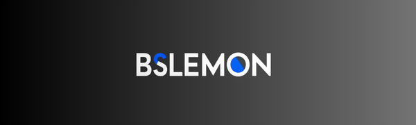 Bslemon technology logo for professional hard drive docking stations and storage solutions