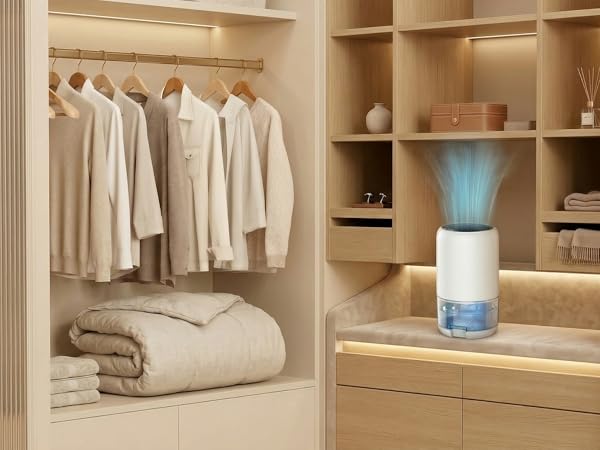 Versatile dehumidifier for living room bedroom bathroom and RV camper condensation.