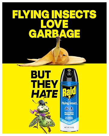 Bugs Hate Raid