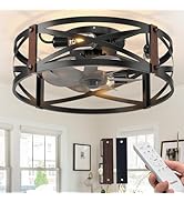 Passky 20" Farmhouse Flush Mount Ceiling Fans with Lights and Remote, Industrial Black Caged Low ...