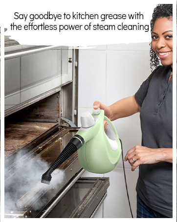 steam cleaner