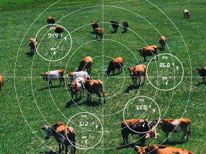 range finder for hunting-continusly scan