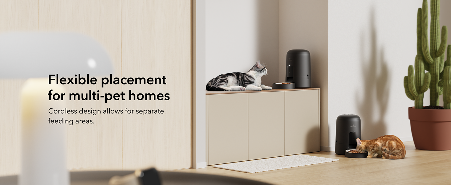 automatic cat feeder