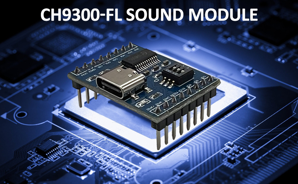 CH9300-FL Voice Module