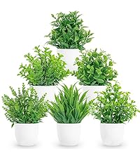https://m.media-amazon.com/images/S/aplus-media-library-service-media/510d4531-9bee-4eaa-a3fc-4be2f5fe456a.__CR0,0,800,900_PT0_SX200_V1___.jpg