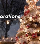 Outdoor Electrical Box