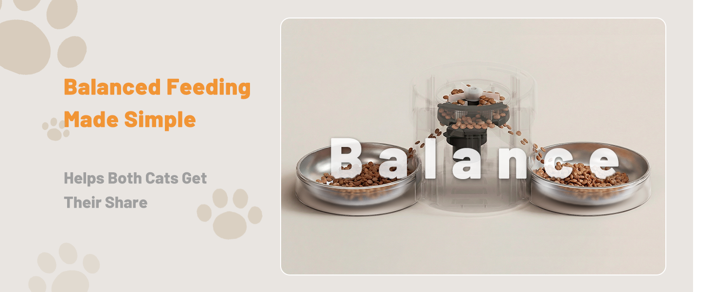 pet feeder automatic wifi