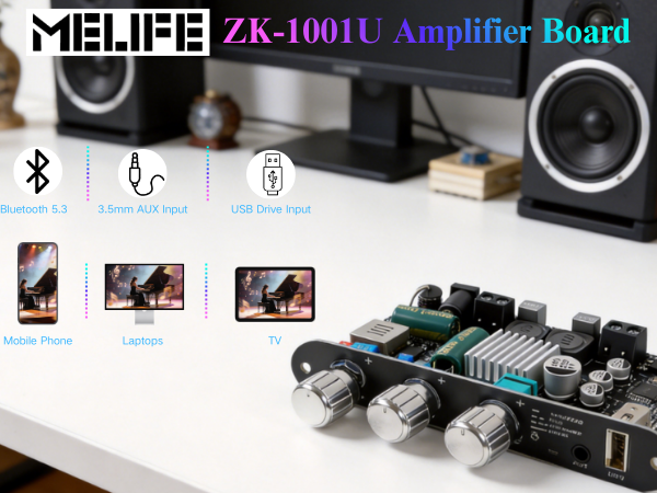 ZK-1001U Mono Amplifier Board