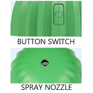 button switch and spray nozzle